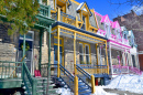 Colorful Houses of Montreal