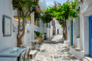 Naousa Town, Paros Island, Greece